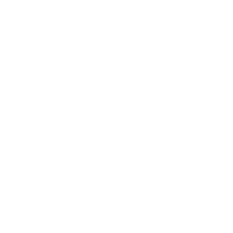 Fun Wheels